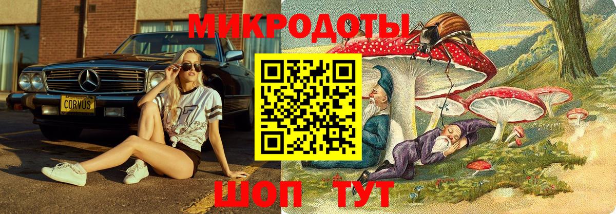 Псилоцибиновые грибы прущие грибы  Вход с VPN  Советск 