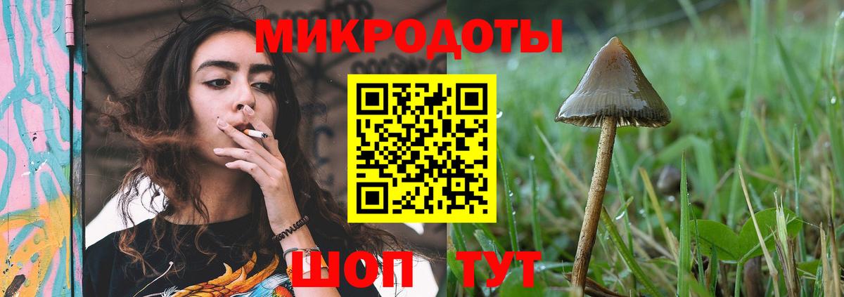 Галлюциногенные грибы мицелий Советск